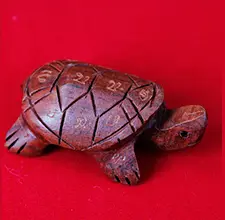 招财健康龟